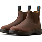 Ariat Jodhpurs Cooper Femme Brunette