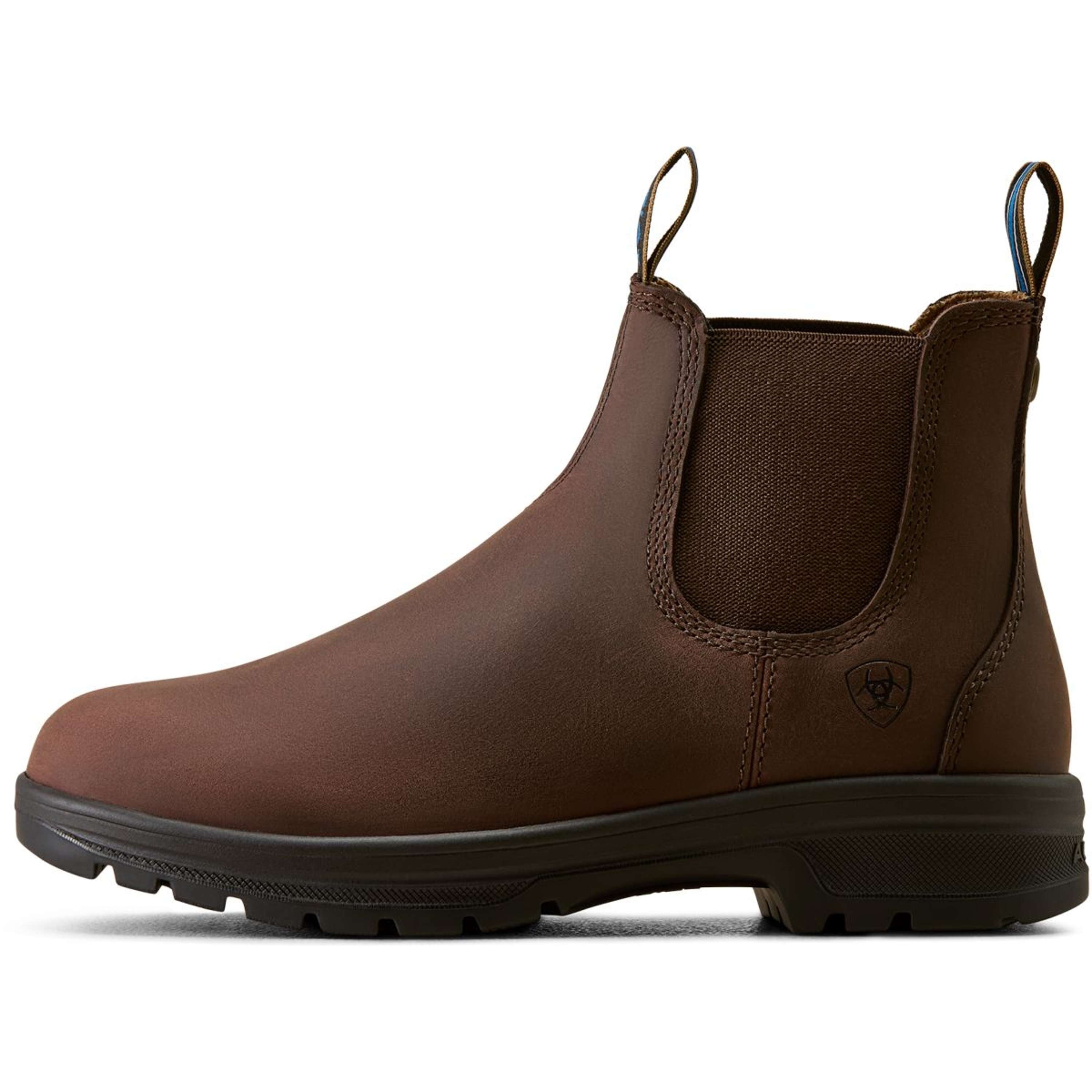 Ariat Jodhpurs Cooper Femme Brunette