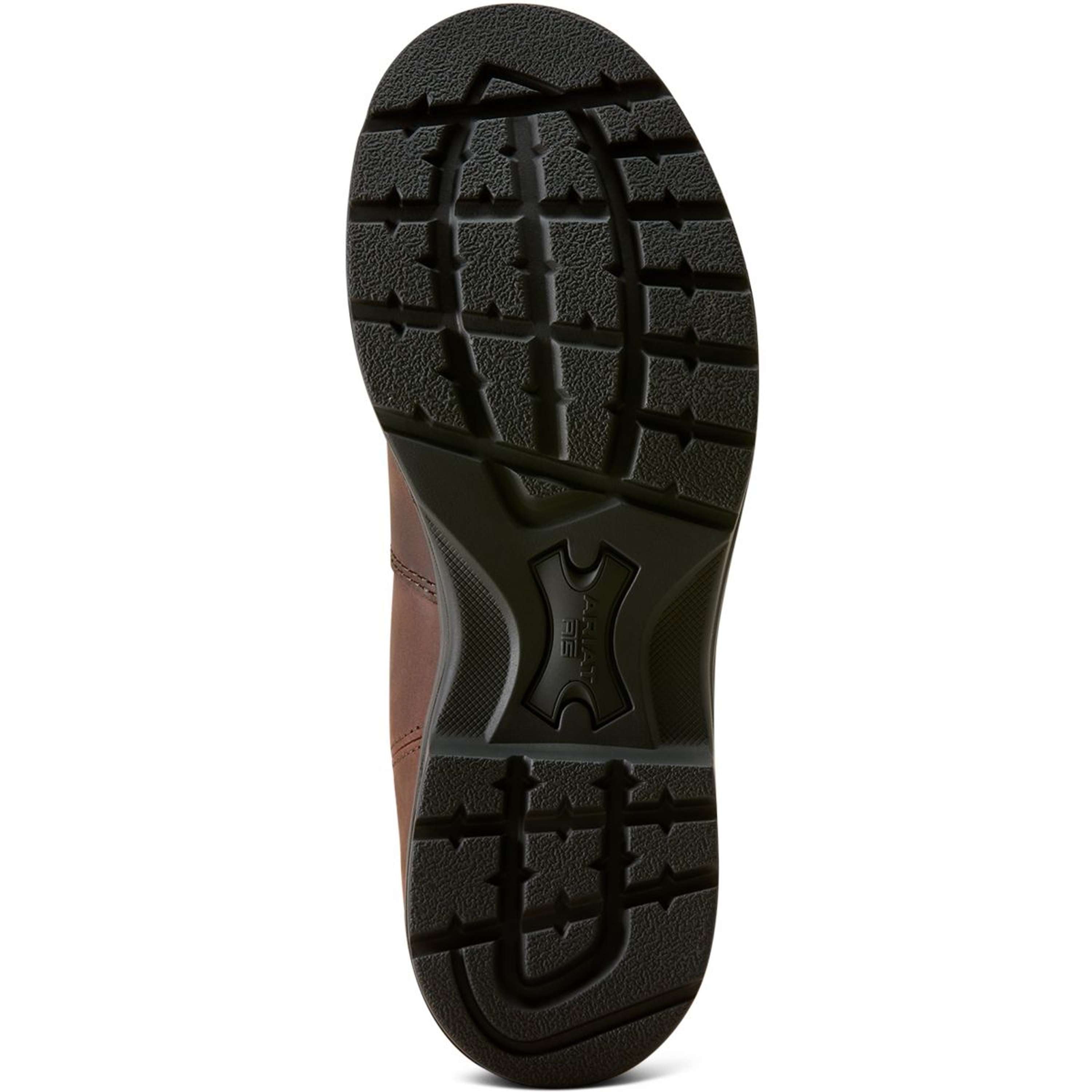 Ariat Jodhpurs Cooper Femme Brunette
