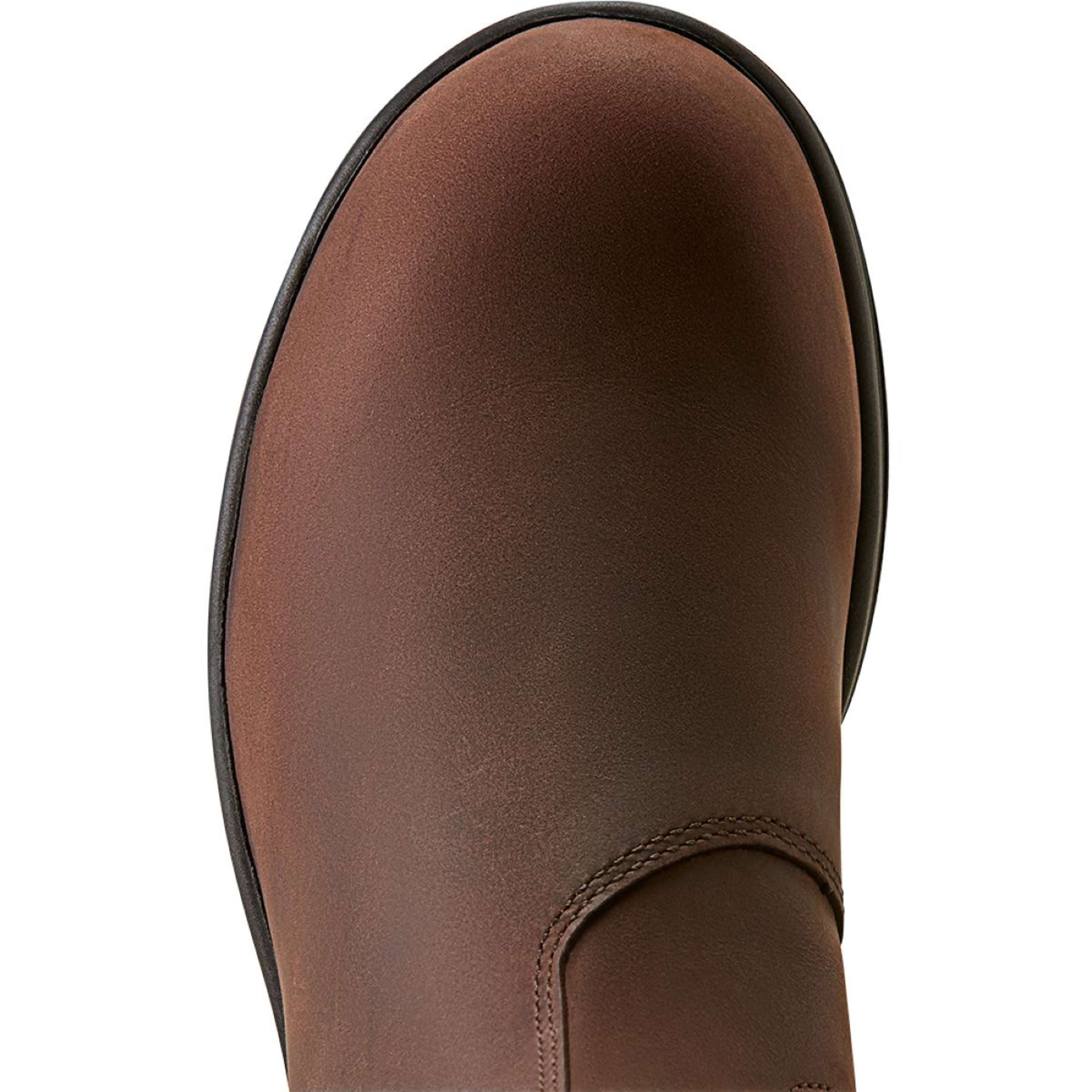 Ariat Jodhpurs Cooper Femme Brunette