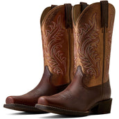 Ariat Bottes Western Round Up NcToe Femme Espresso