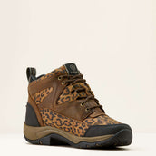 Ariat Chaussures d'Écurie Terrain Femme Washed Leopard