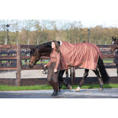 Harry's Horse Pantalon d'Équitation Ladis Full Grip Carafe