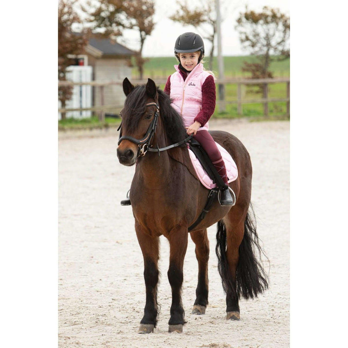 Harry's Horse Gilet Sans Manches LouLou Champoussin Argent/Rose