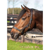 Harry's Horse Ensemble Licol Kirchberg Jet Black