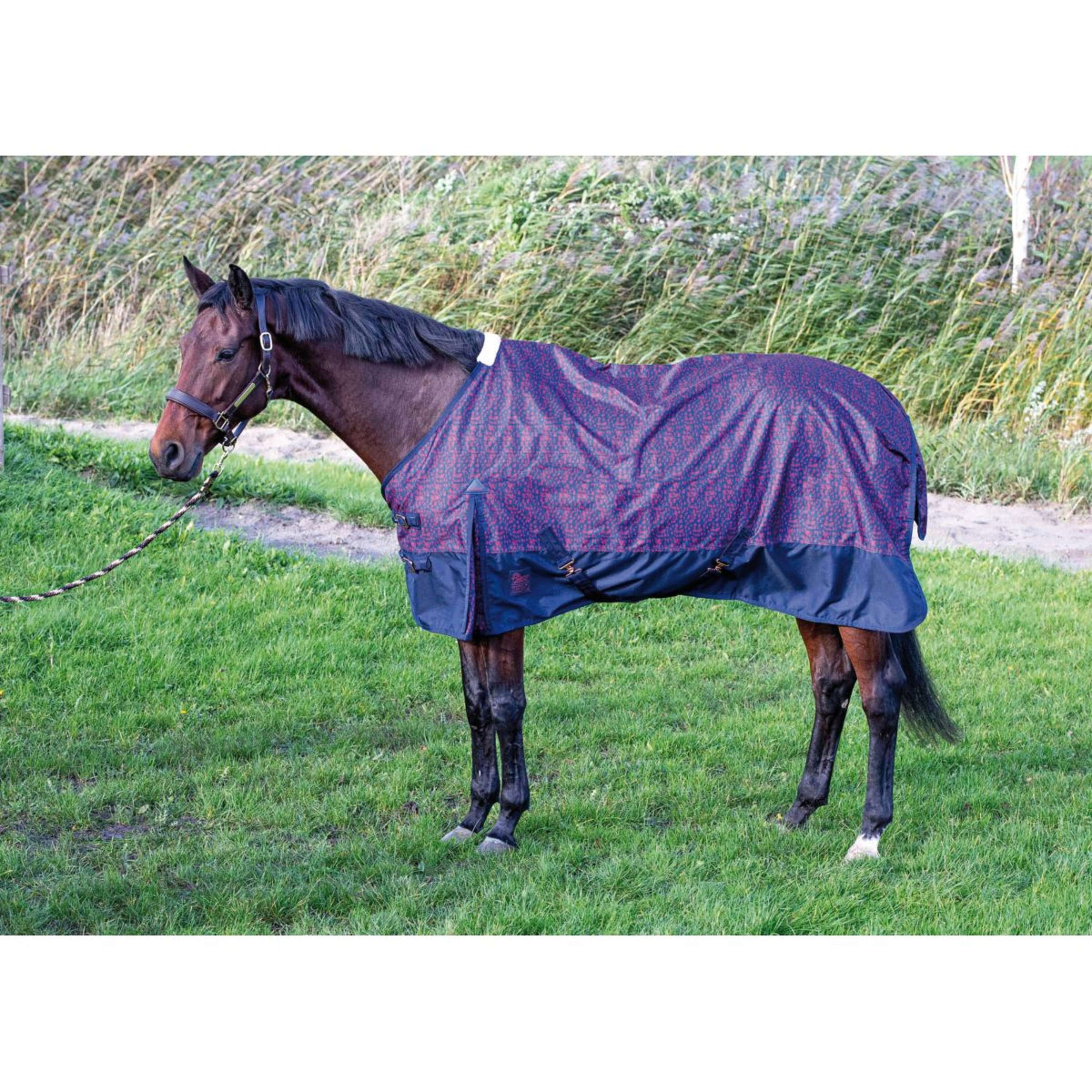 Harry's Horse Couverture Imperméable Thor 0gr Dress Blues