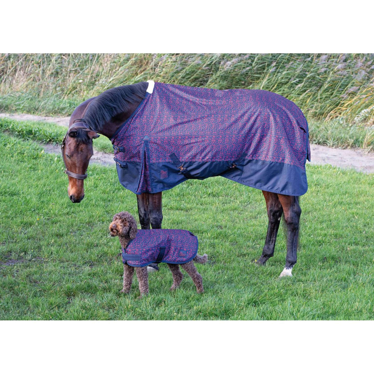 Harry's Horse Couverture Imperméable Thor 0gr Dress Blues