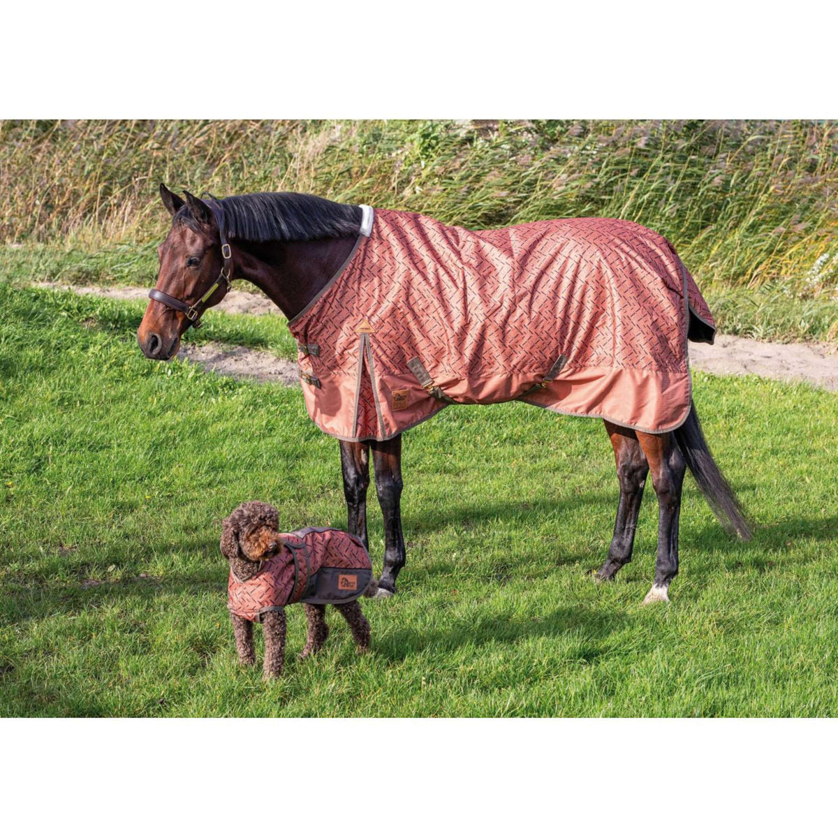 Harry's Horse Couverture Imperméable Thor Fleece 0gr Sierra