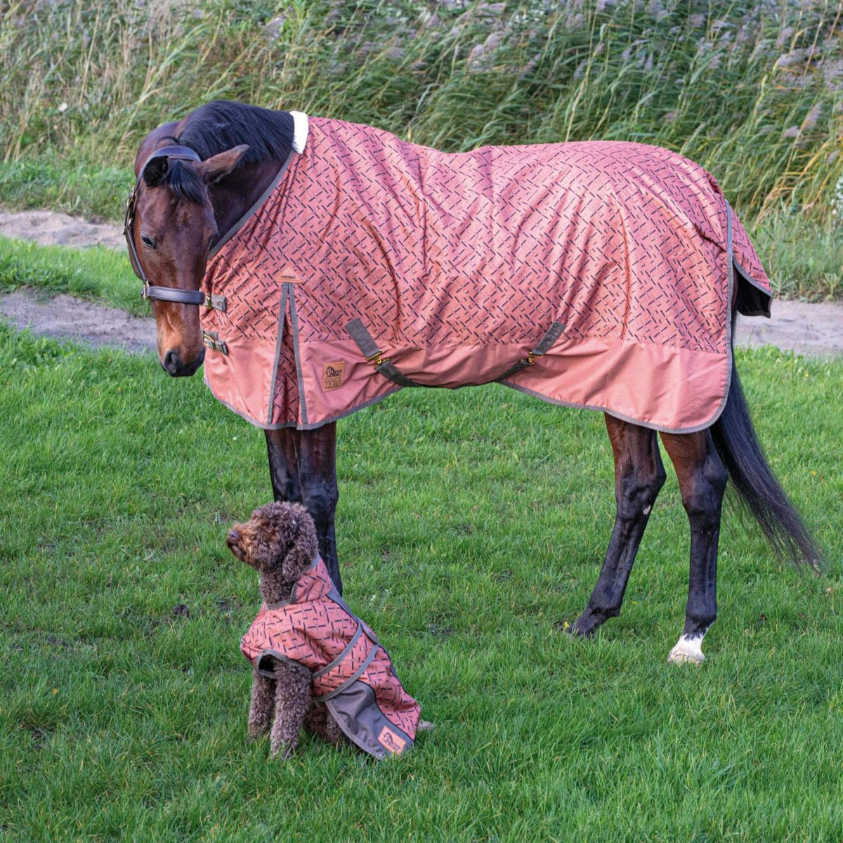 Harry's Horse Couverture Imperméable Thor Fleece 0gr Sierra