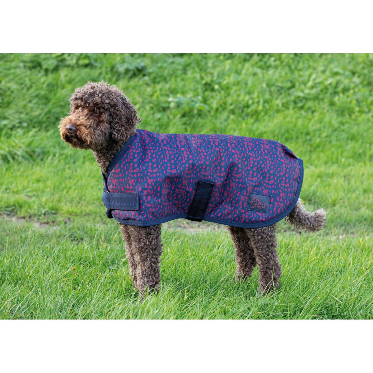 Harry's Horse Couverture pour Chien Etanche Dress Blues