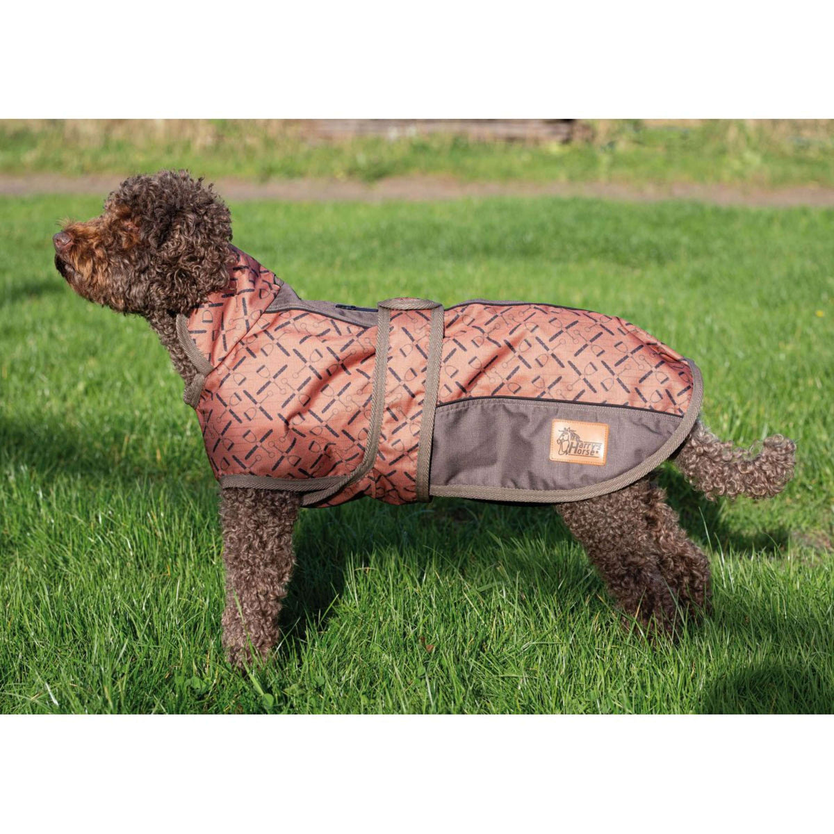 Harry's Horse Couverture pour Chien Twotone Etanche Sierra