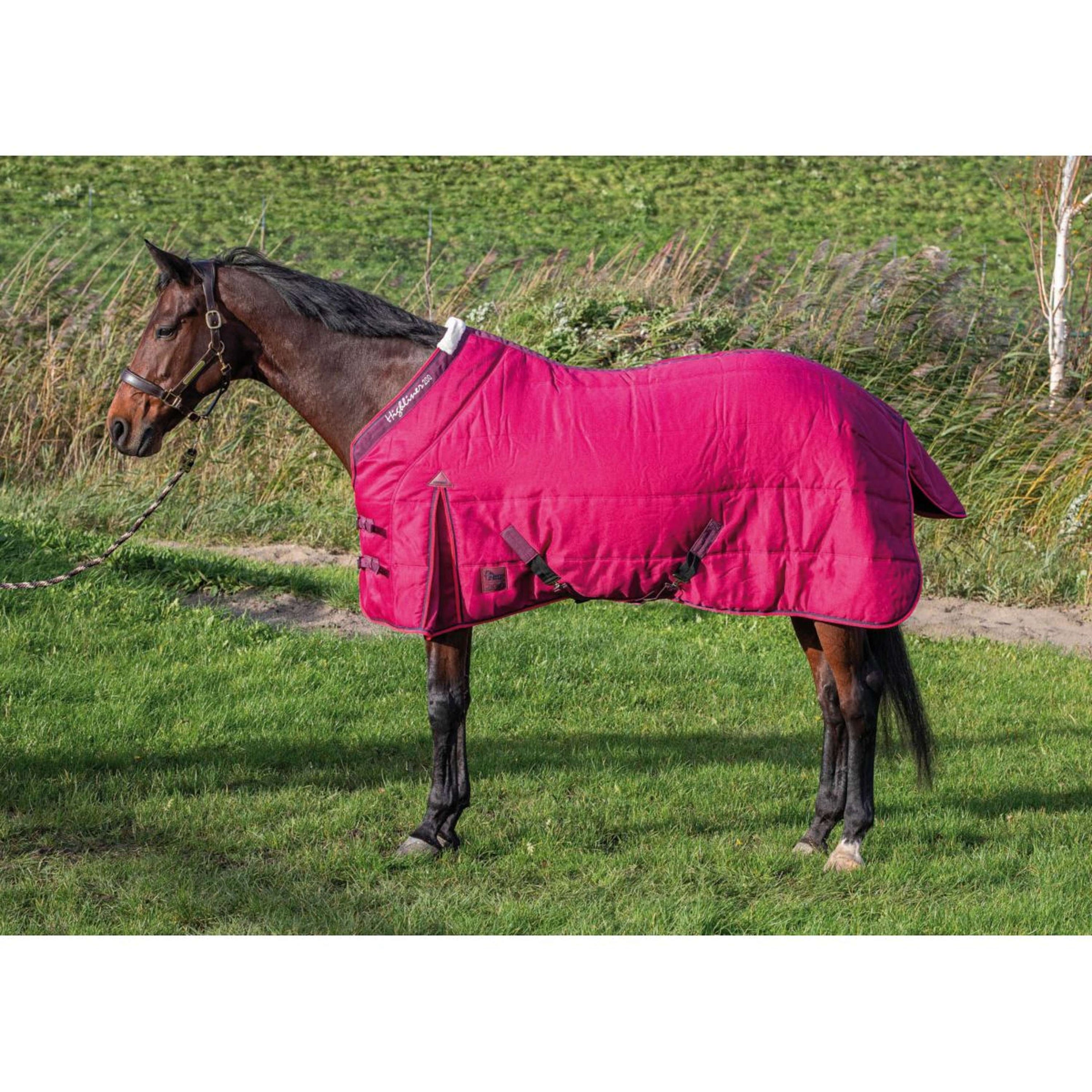 Harry's Horse Couverture d'Écurie Highliner 200gr Beaujolais