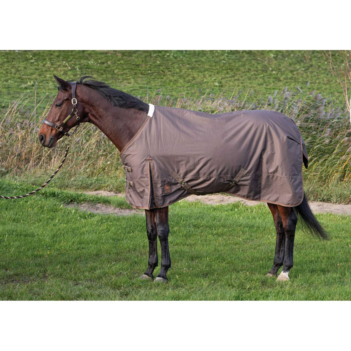 Harry's Horse Couverture Imperméable Thor 200gr Carafe