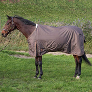 Harry's Horse Couverture Imperméable Thor 200gr Carafe