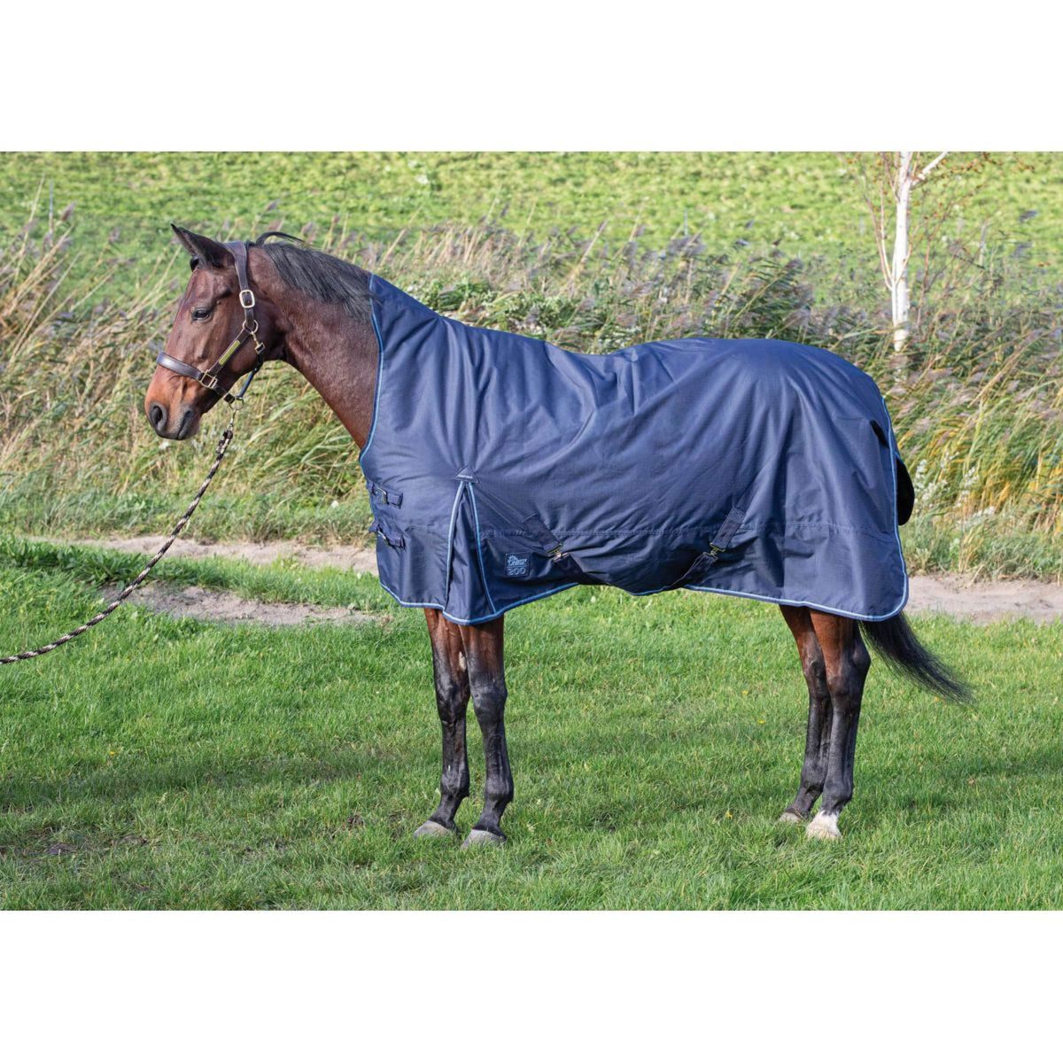 Harry's Horse Couverture Imperméable Thor Highneck 200gr Dress Blues