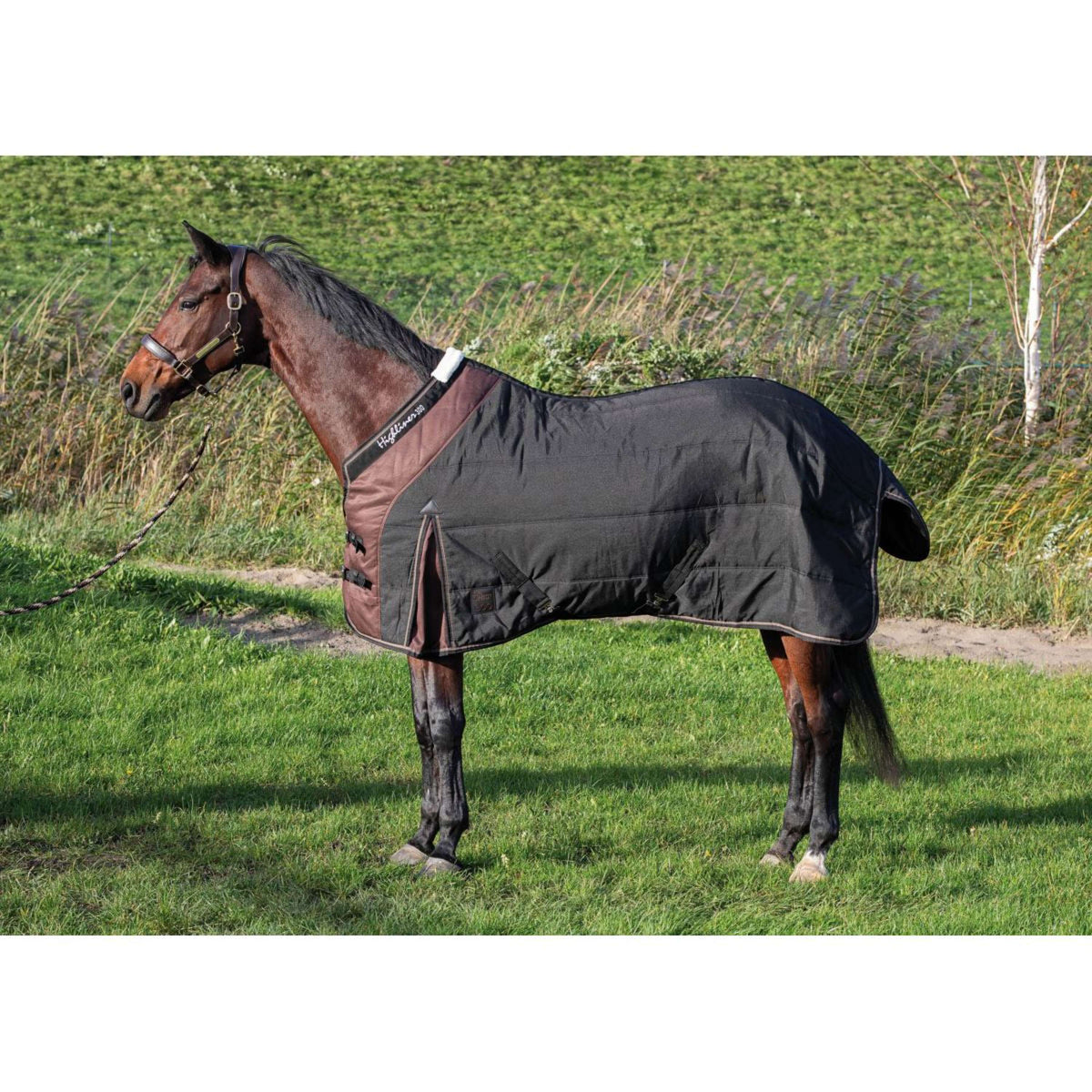 Harry's Horse Couverture d'Écurie Highliner 300gr Jet Black