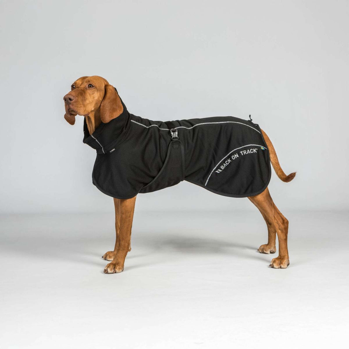 Back on Track Veste pour Chien BAY Mesh Noir
