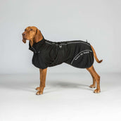 Back on Track Veste pour Chien BAY Mesh Noir