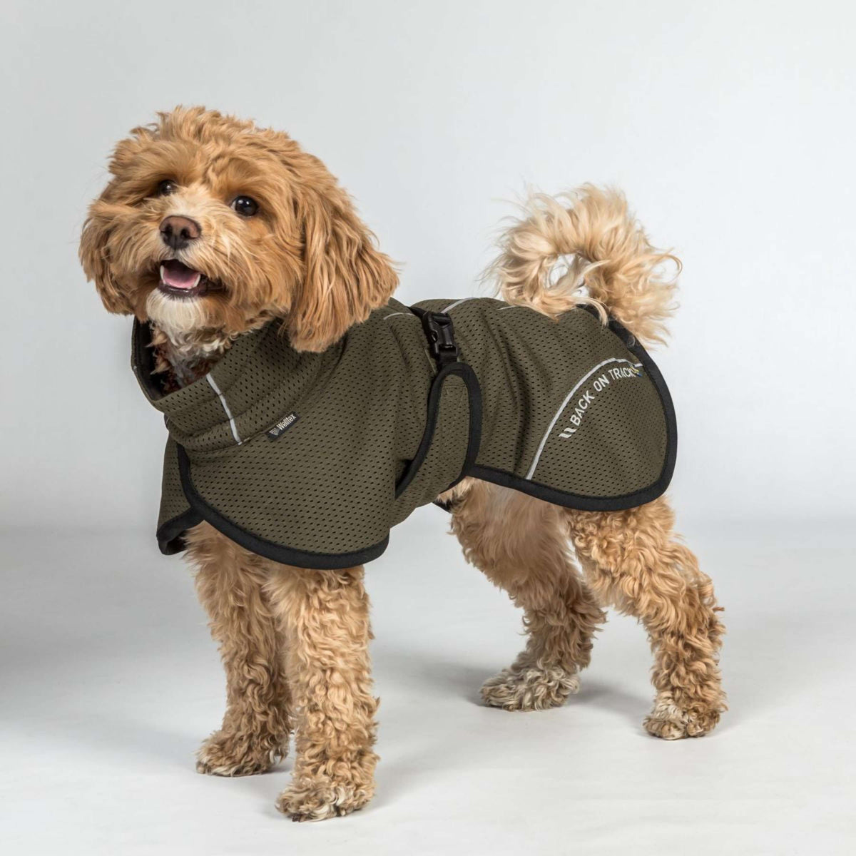 Back on Track Veste pour Chien BAY Mesh Olive