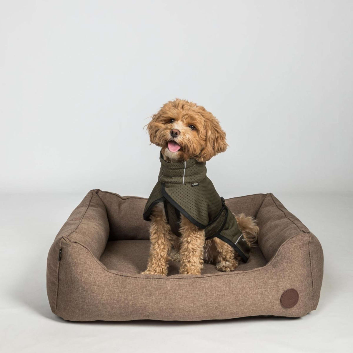 Back on Track Veste pour Chien BAY Mesh Olive