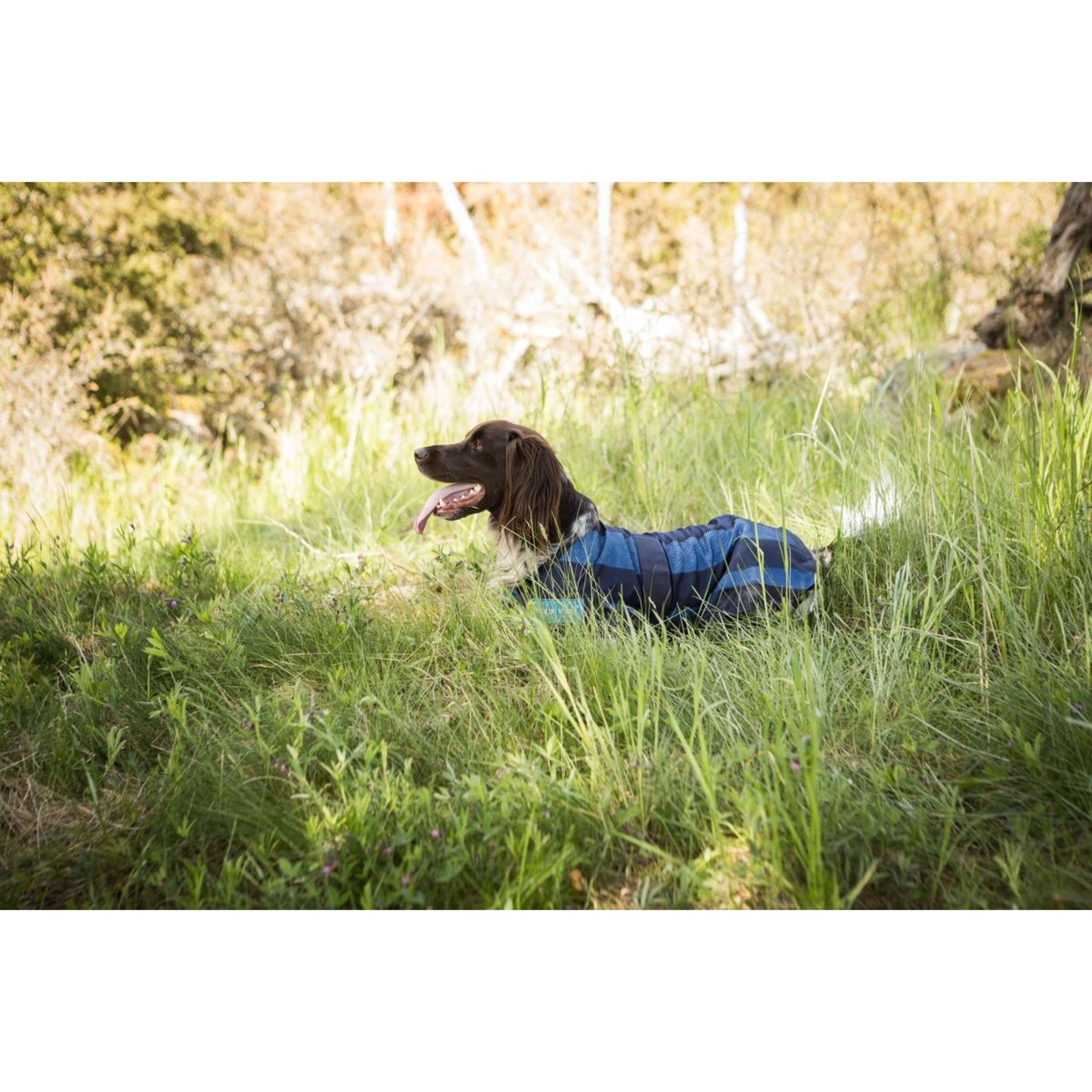 Cool on Track Veste pour Chien 2.0 Bleu