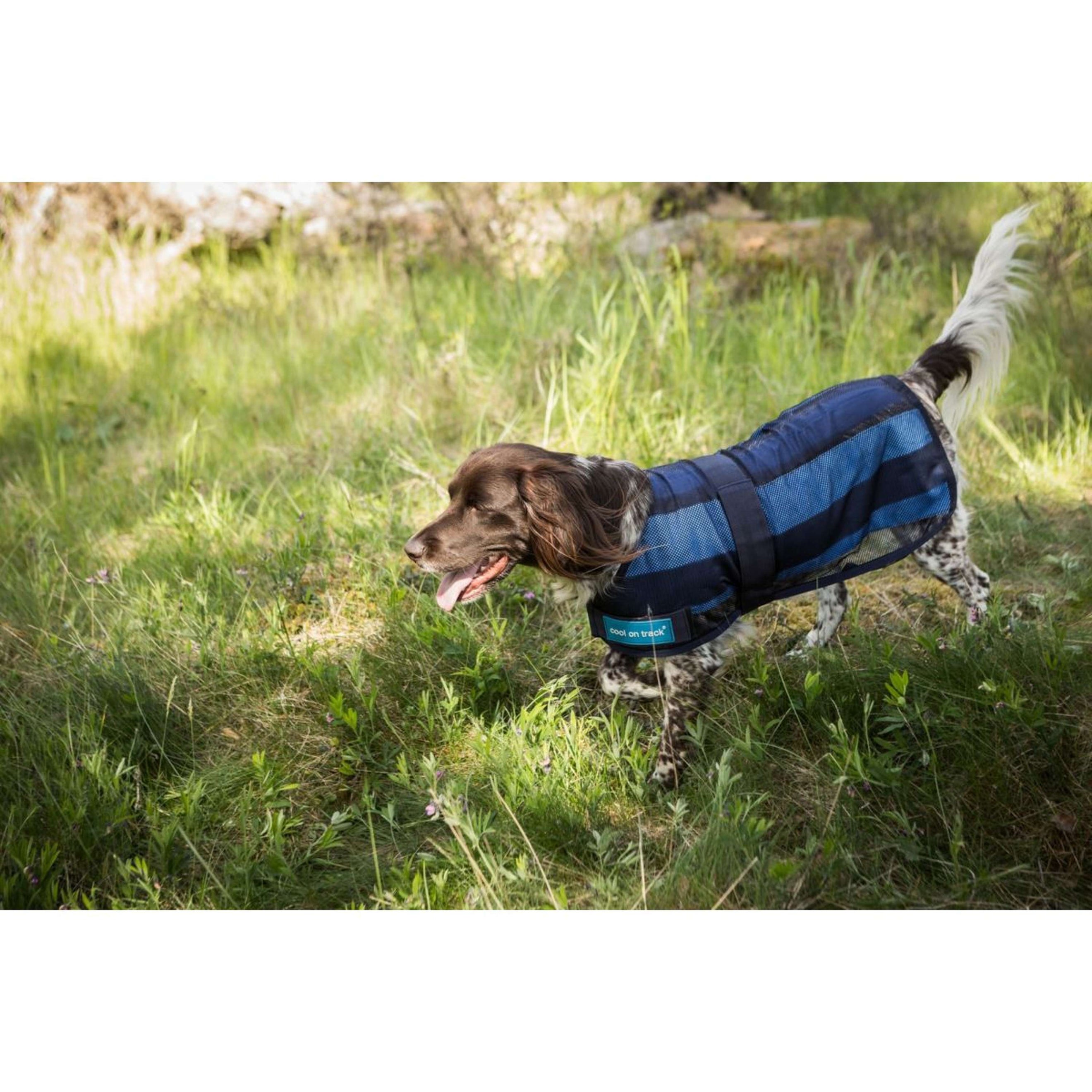 Cool on Track Veste pour Chien 2.0 Bleu Cool on Track Veste pour Chien 2.0 Bleu