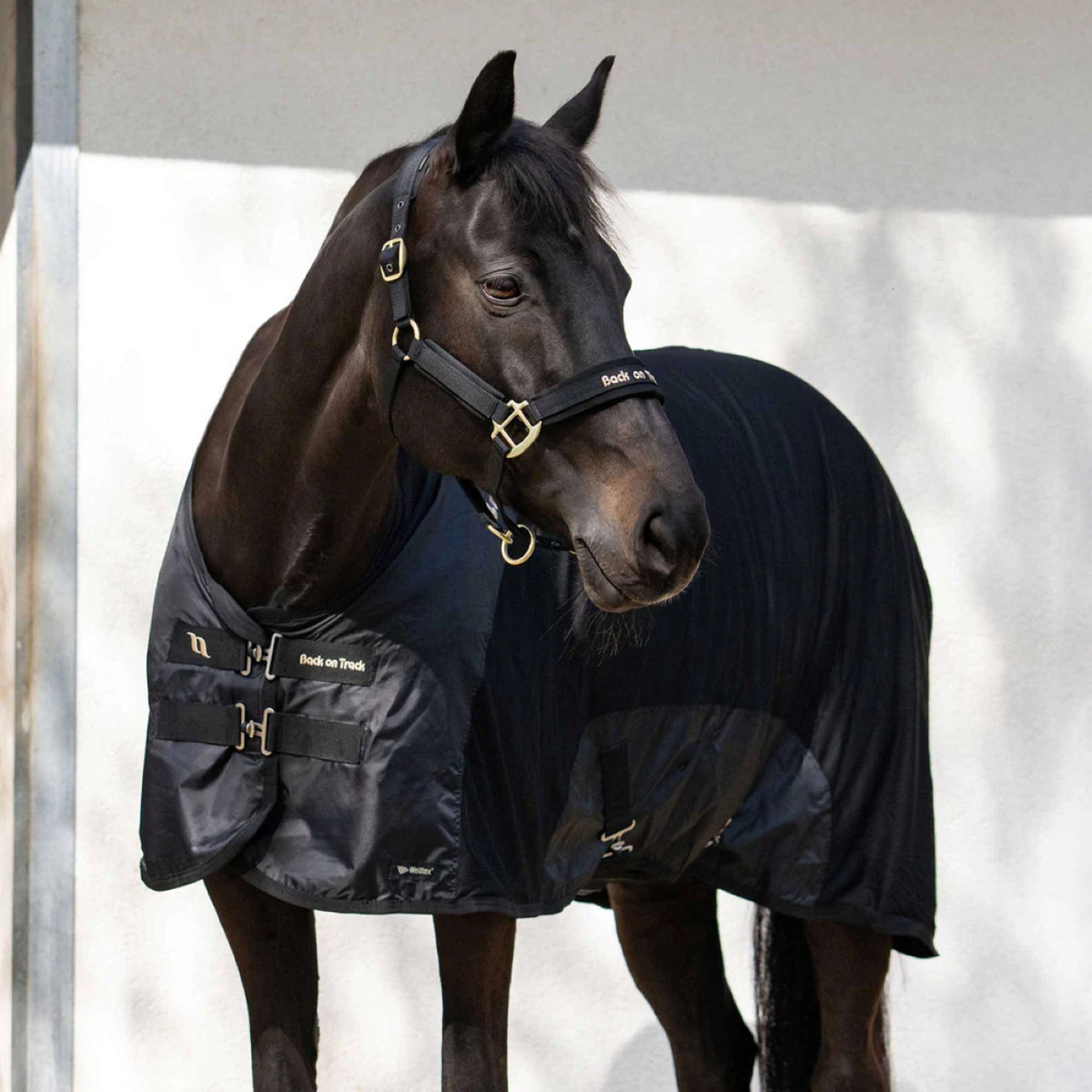 Back on Track Couverture à Mailles Royal Deluxe Noir Back on Track Couverture à Mailles Royal Deluxe Noir