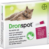 Bayer Dronspot pour Grands Chats