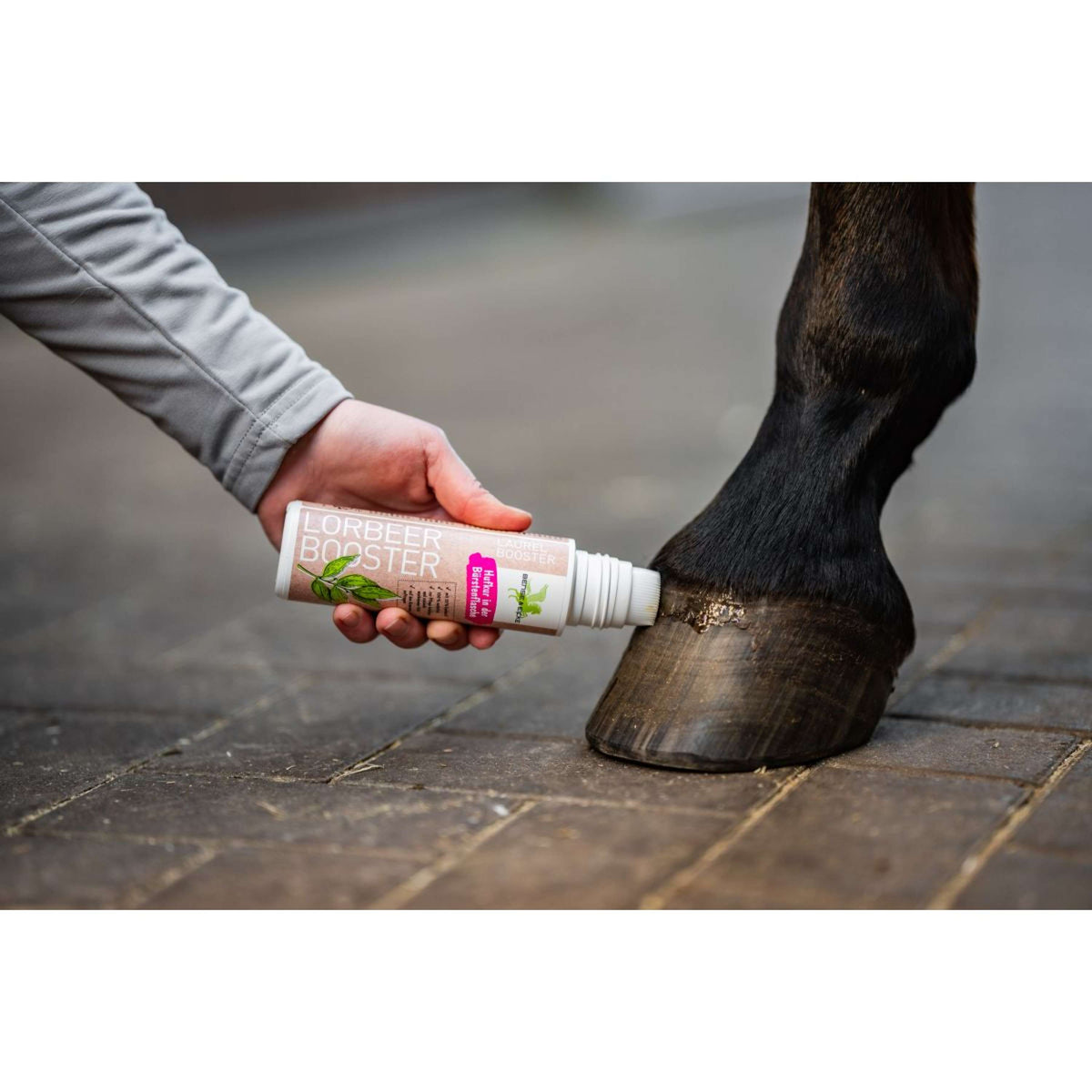 Bense & Eicke Booster au Laurier