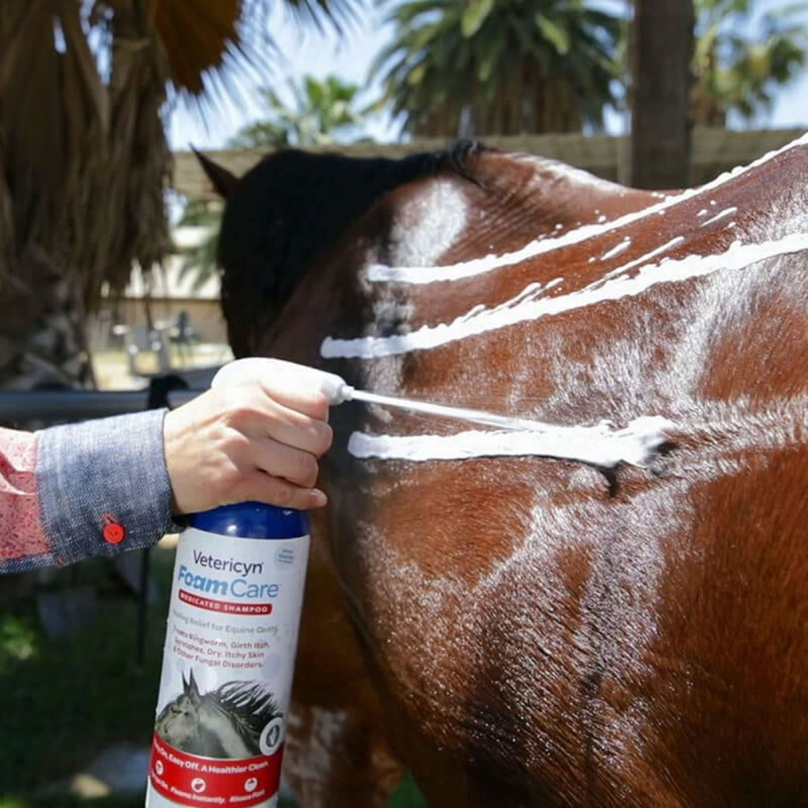 Vetericyn Foamcare Shampooing Cheval Premiers Secours