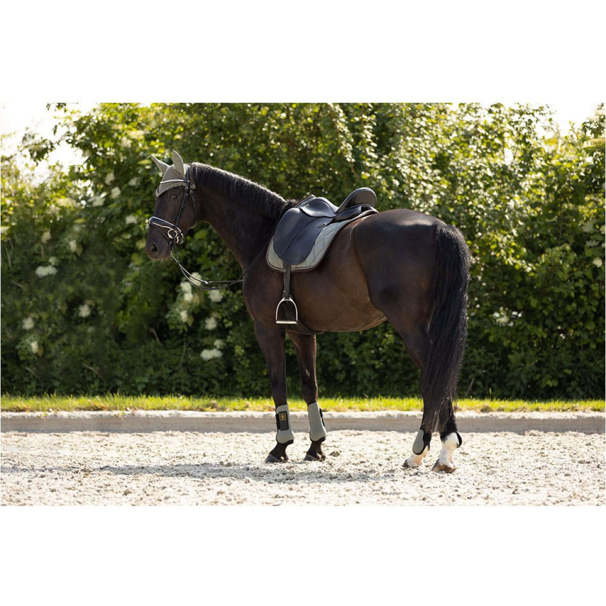 BR Protèges-Tendons Event Neopreen Voering Mulled Basil