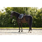 BR Protèges-Tendons Event Neopreen Voering Mulled Basil