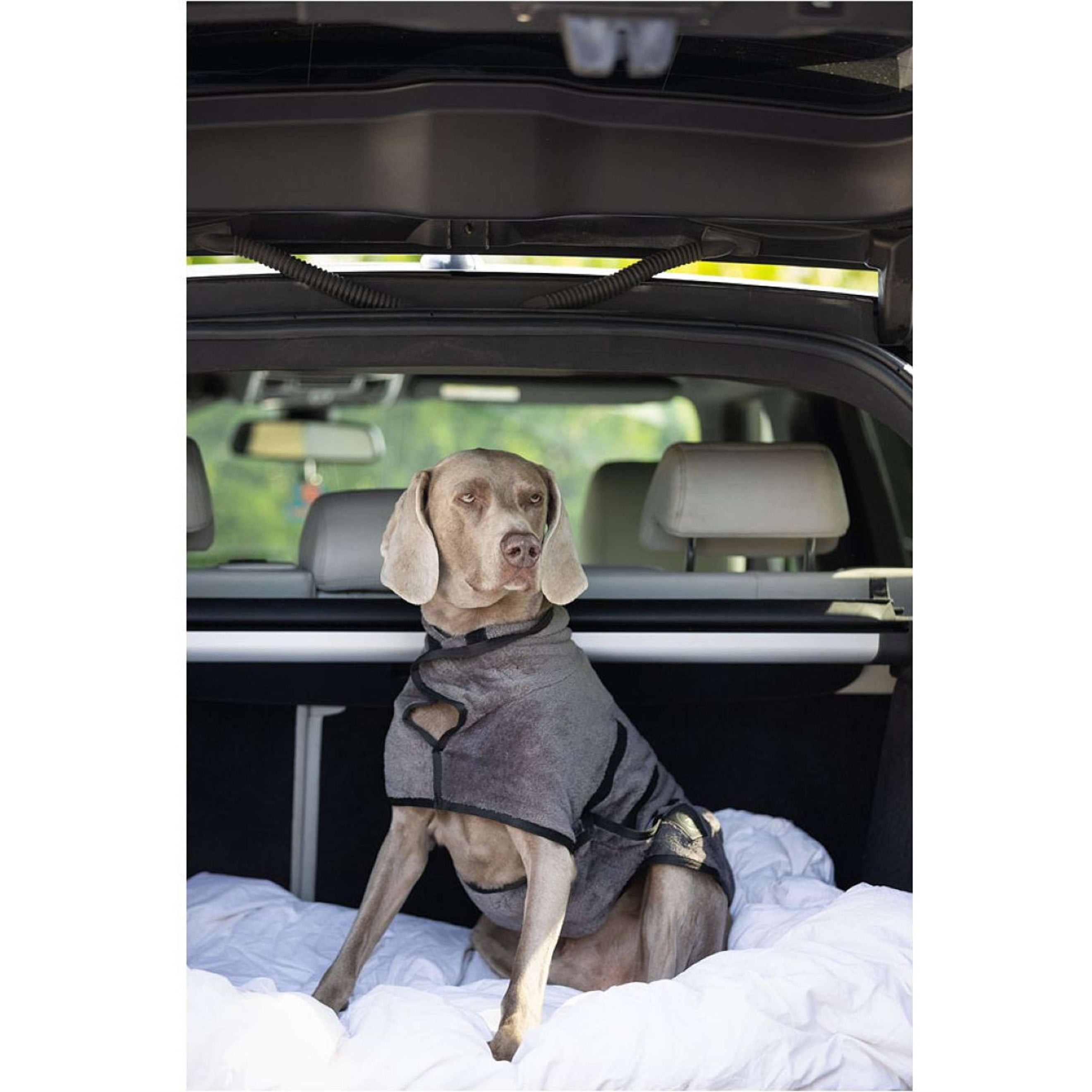 BR Peignoir Chien Grey Asphalt