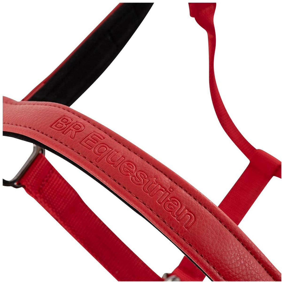 BR Licol AW25 Jade Rouge Tango