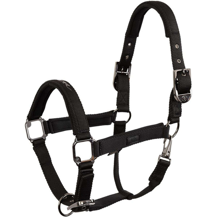 BR Licol AW25 Eevolv Josh Meteorite BR Licol AW25 Eevolv Josh Meteorite