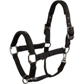 BR Licol AW25 Eevolv Josh Meteorite