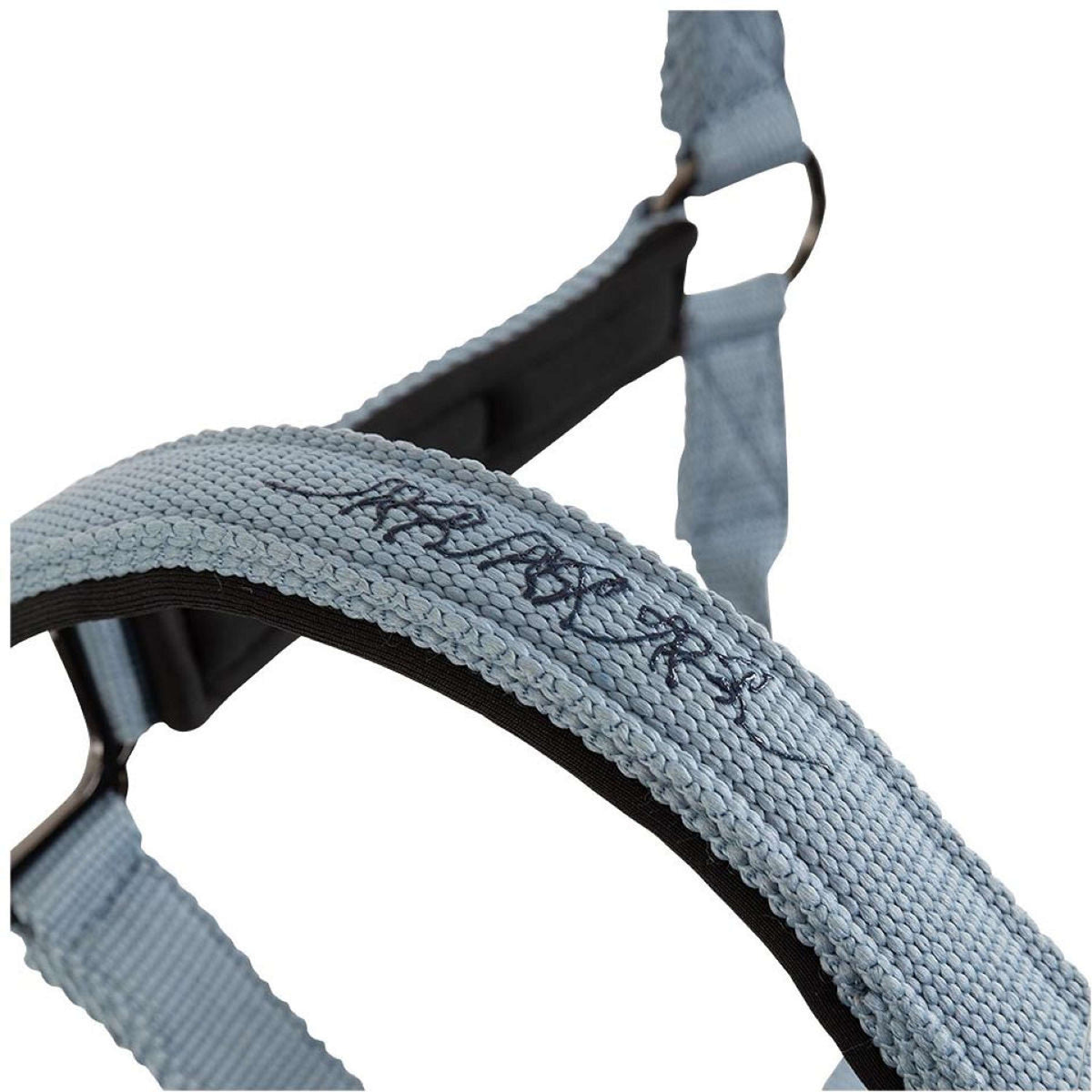 BR Licol AW25 Eevolv Josh Ashley Blue