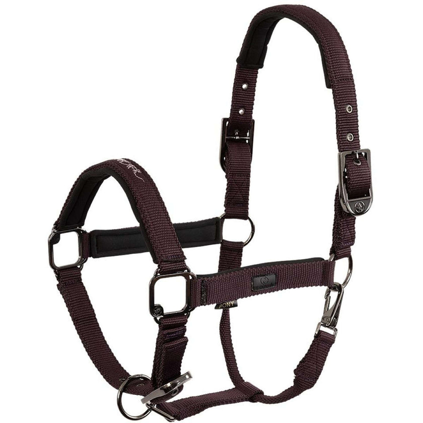 BR Licol AW25 Eevolv Josh Raisin BR Licol AW25 Eevolv Josh Raisin