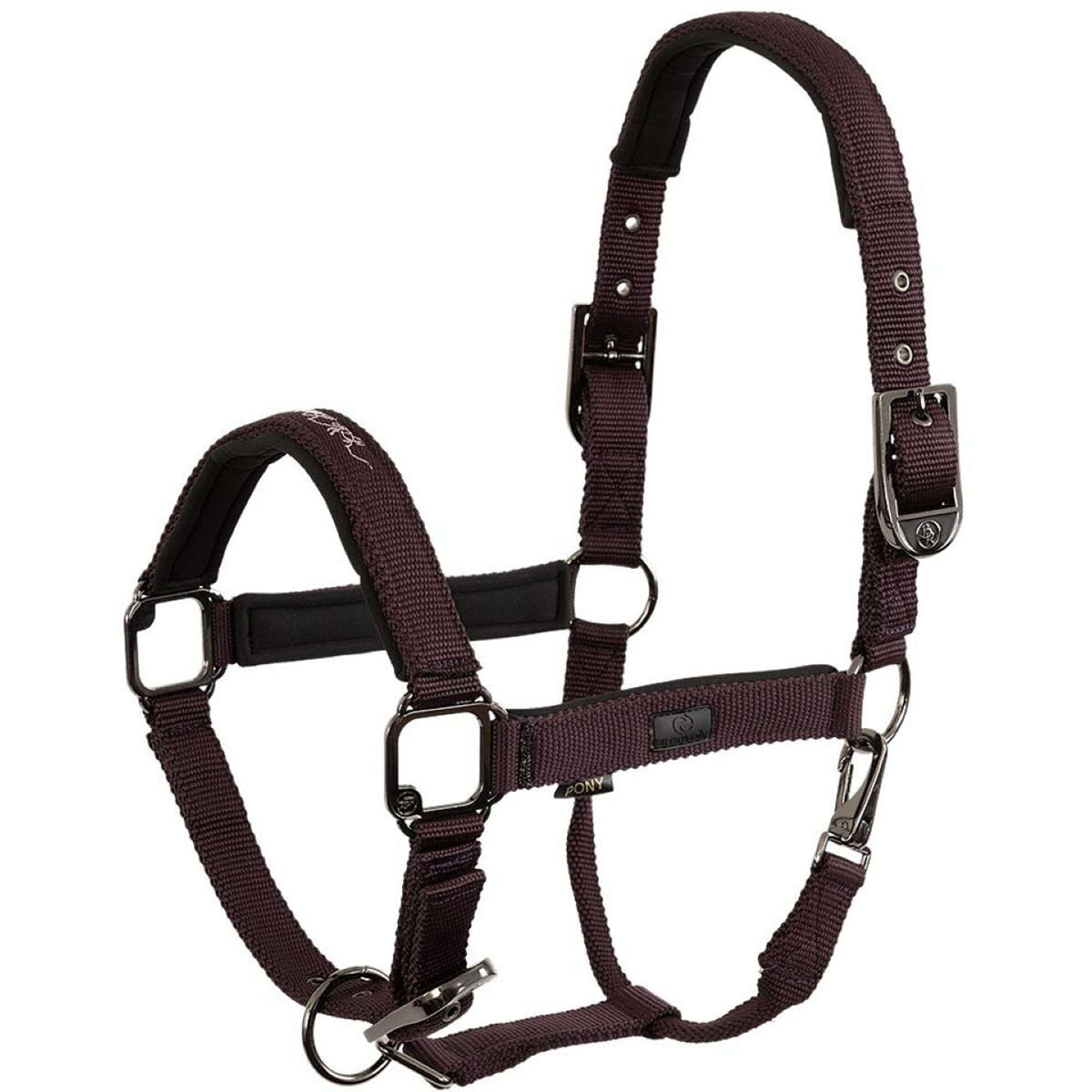 BR Licol AW25 Eevolv Josh Raisin