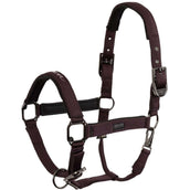 BR Licol AW25 Eevolv Josh Raisin