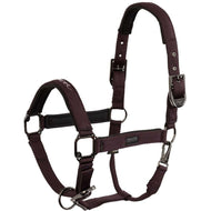 BR Licol AW25 Eevolv Josh Raisin