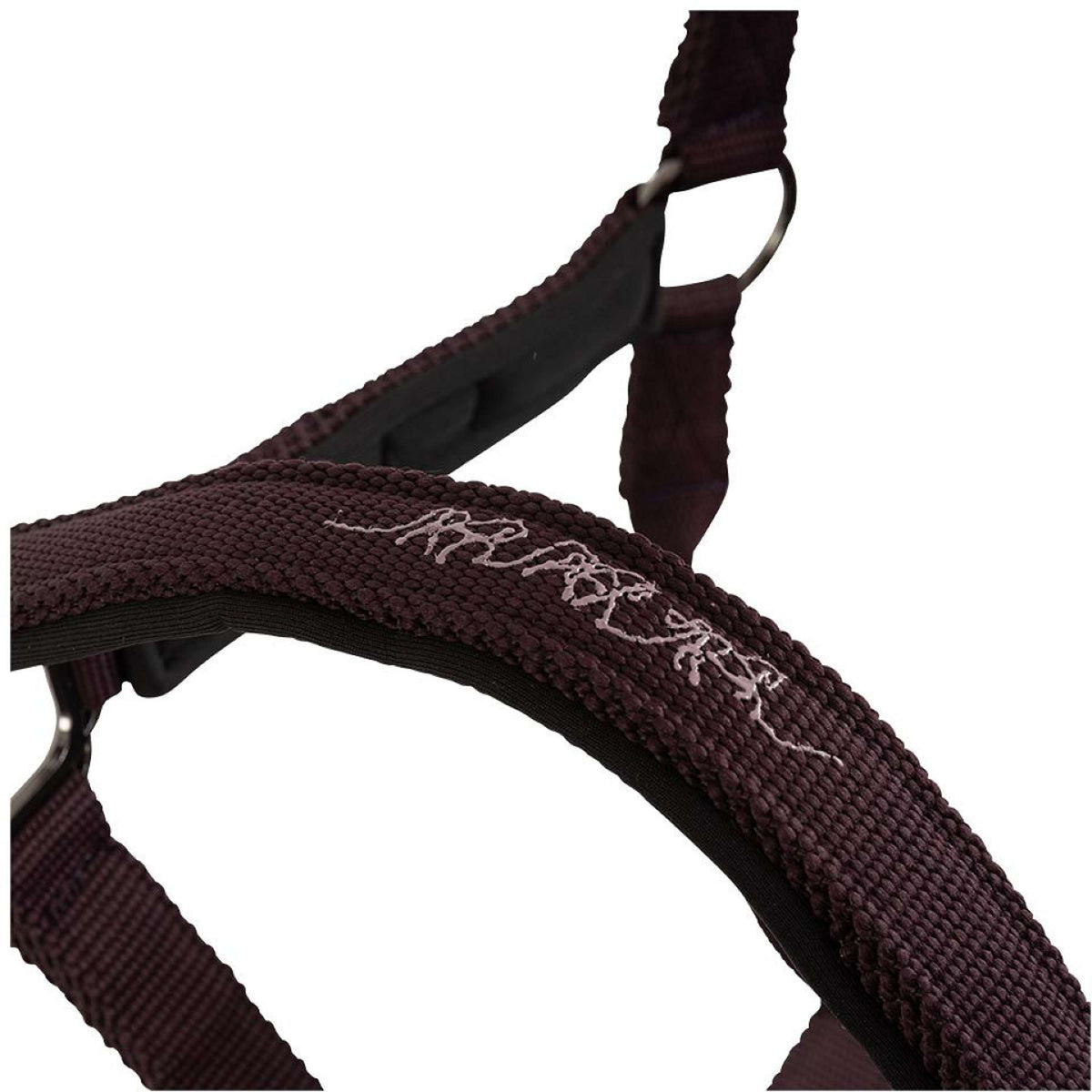 BR Licol AW25 Eevolv Josh Raisin