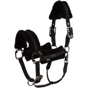 BR Licol AW25 Eevolv Jonne Meteorite BR Licol AW25 Eevolv Jonne Meteorite