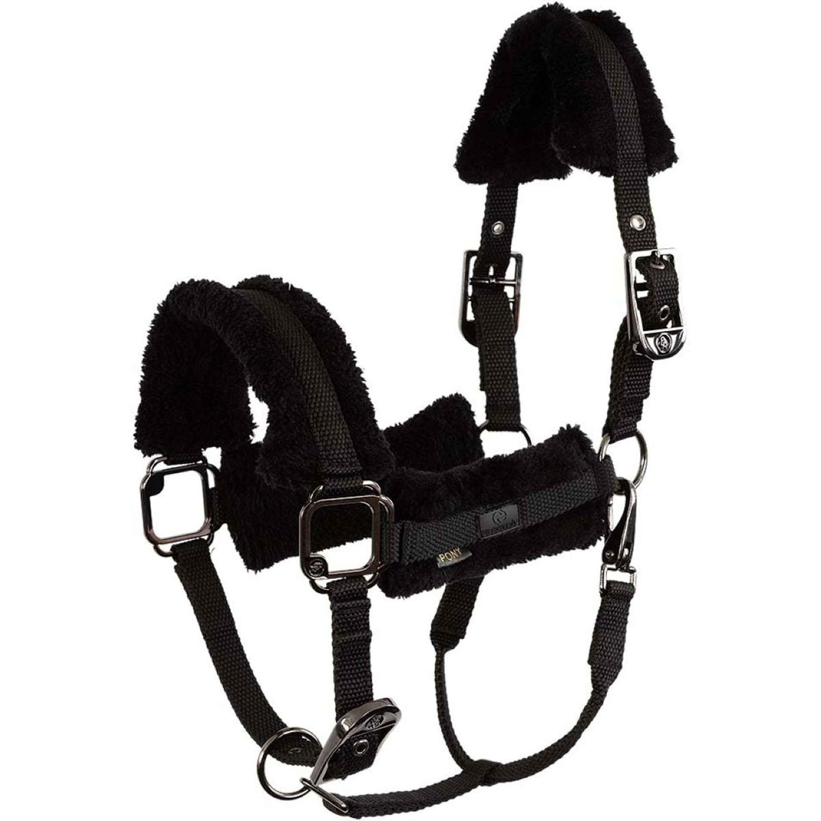 BR Licol AW25 Eevolv Jonne Meteorite BR Licol AW25 Eevolv Jonne Meteorite