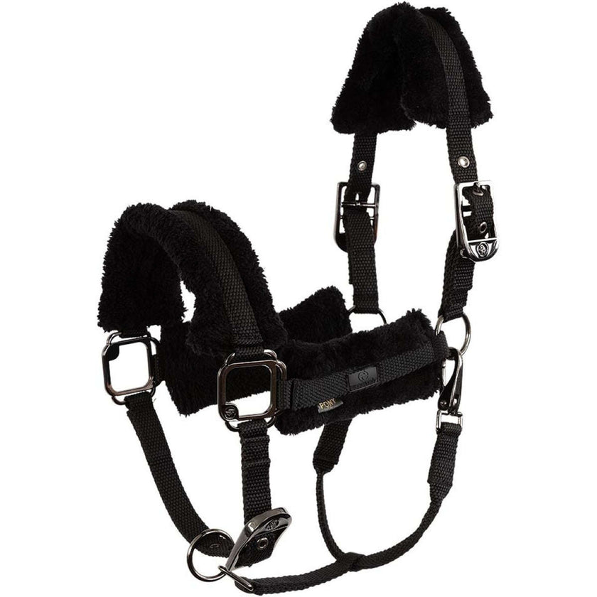 BR Licol AW25 Eevolv Jonne Meteorite