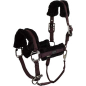 BR Licol AW25 Eevolv Jonne Raisin