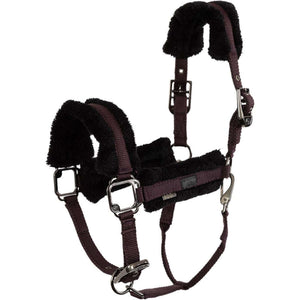 BR Licol AW25 Eevolv Jonne Raisin