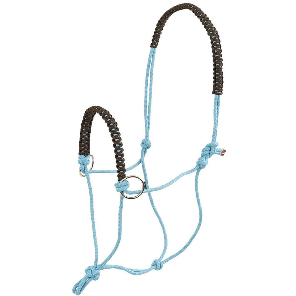 BR Set Licol et Longe Aquamarine