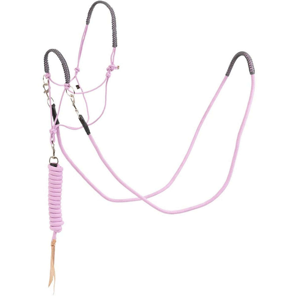 BR Set Licol et Longe Moonlite Mauve