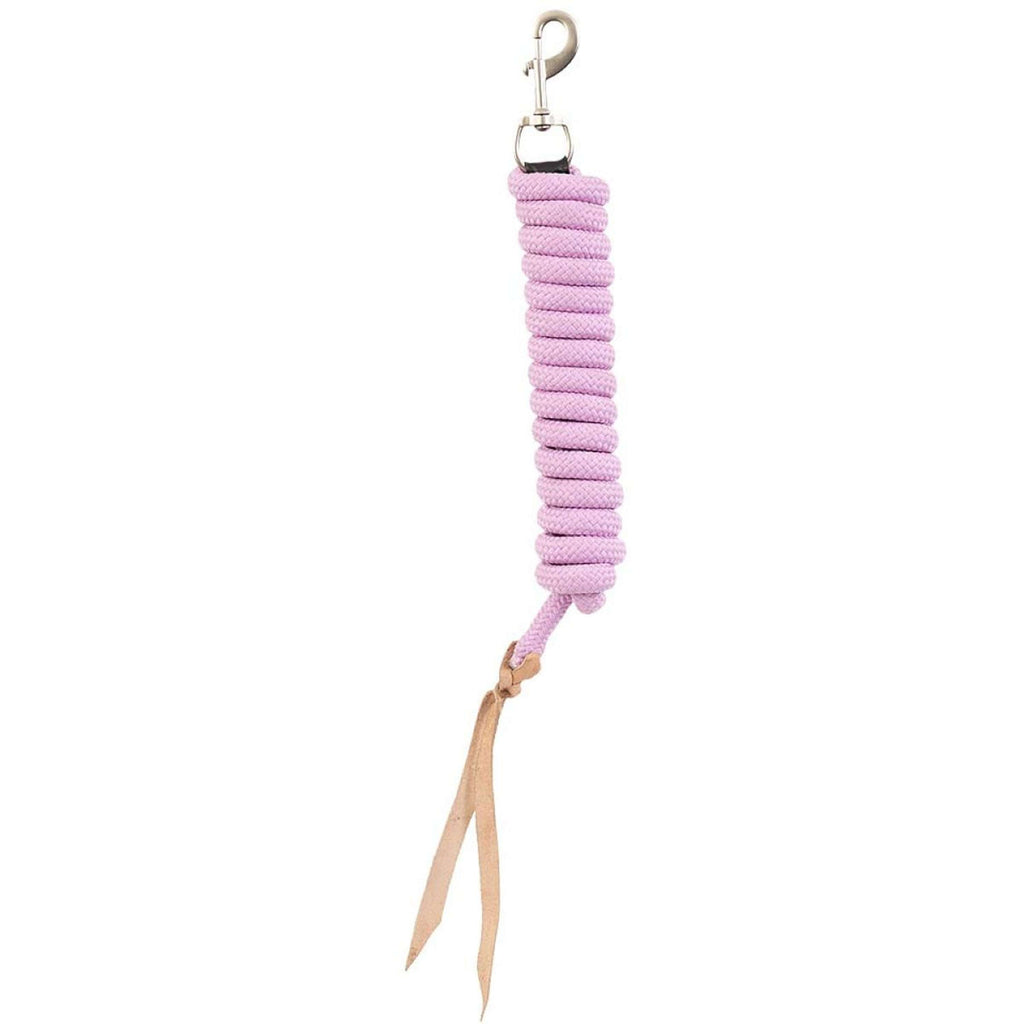 BR Set Licol et Longe Moonlite Mauve